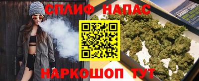гашик Тулун