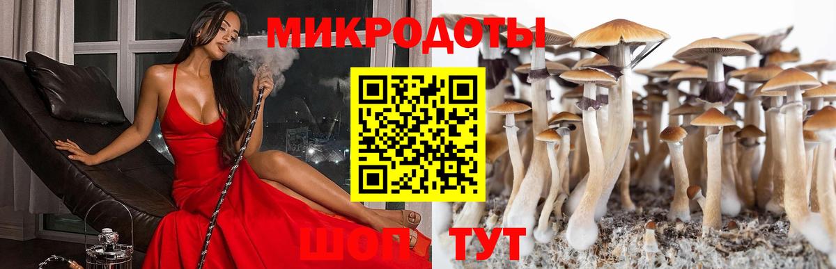 Псилоцибиновые грибы прущие грибы  Вход с VPN  Можга 
