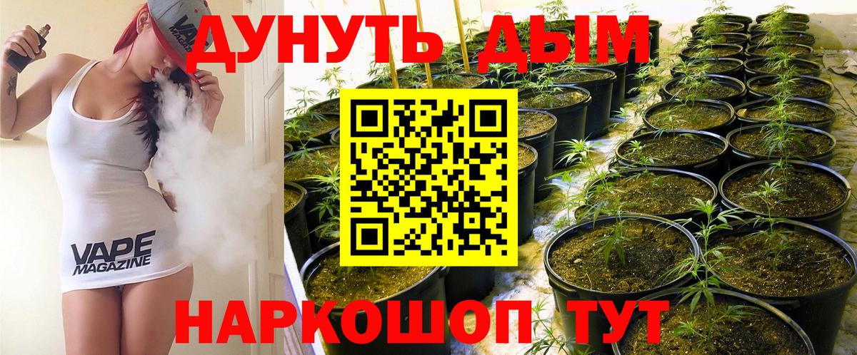 Канабис OG Kush  Каннабис конопля  Можга  Вход с VPN 